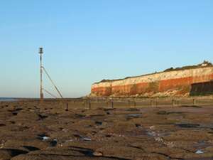 Image 39